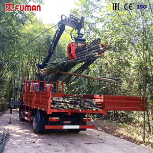 FUMAN 500KG Timber Crane