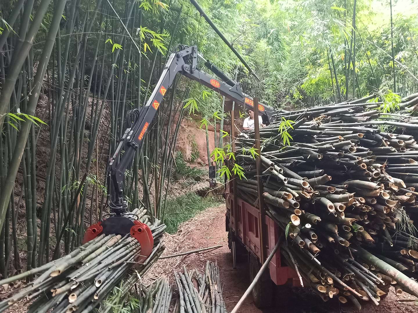Forestry (1)